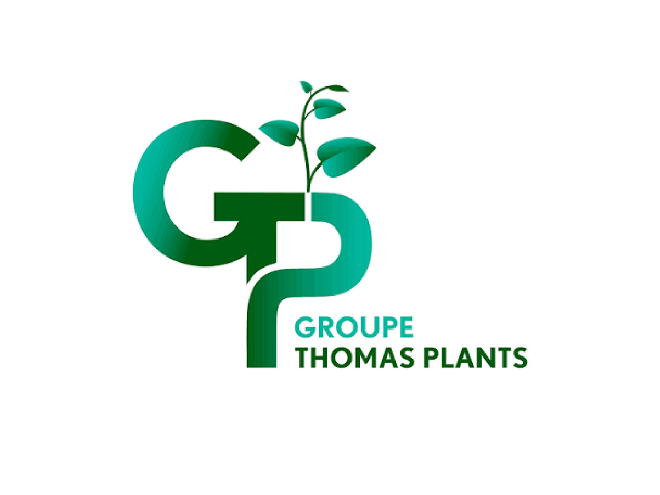 Groupe thomas plants production vente